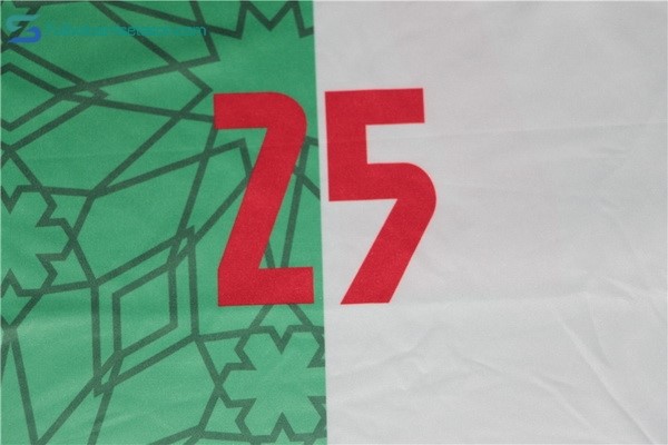 Camiseta Argelia 1ª 2017